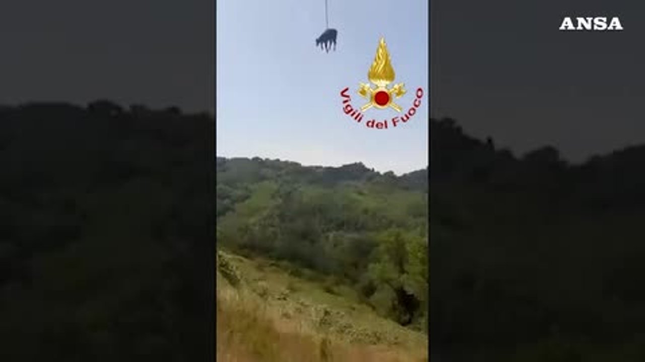 https://wips.plug.it/cips/notizie.virgilio.it/cms/2026/07/video_bc6402115149112.jpg