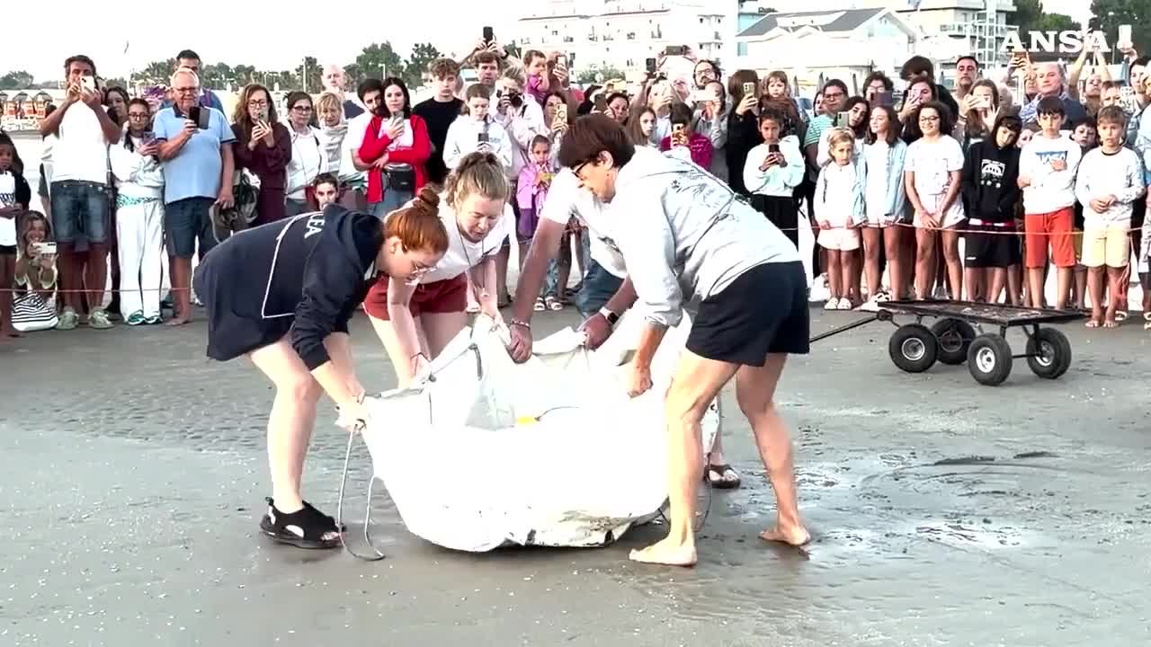 https://wips.plug.it/cips/notizie.virgilio.it/cms/2026/07/video_bc6402396158112.jpg