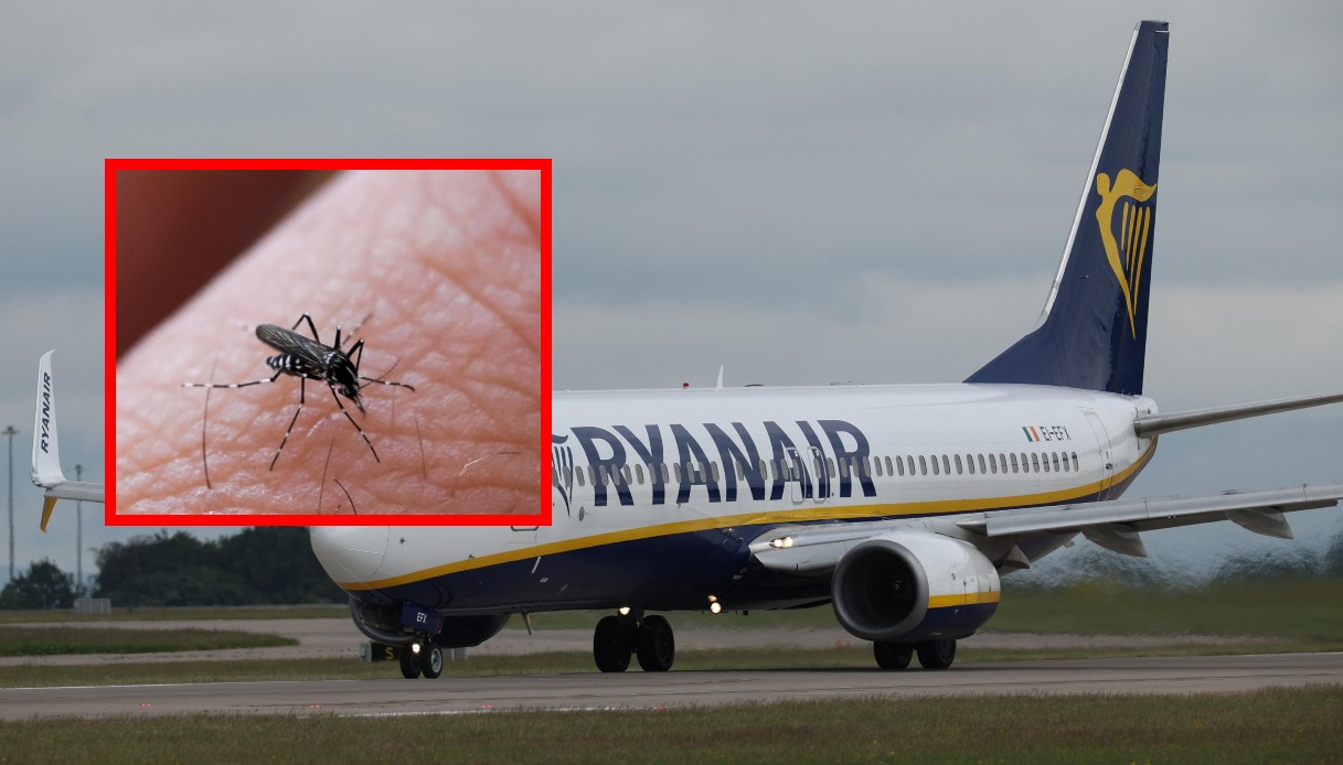 https://wips.plug.it/cips/notizie.virgilio.it/cms/2026/07/zanzare-aerei-ryanair-milano-malpensa.jpg