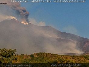 Aeroporto di Catania parzialmente chiuso e voli sospesi per l'eruzione dell'Etna martedì 11 agosto, il punto