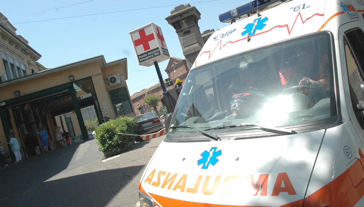 Bambina di 6 anni azzannata da un cane a Noicattaro, ricoverata in Rianimazione al Policlinico di Bari