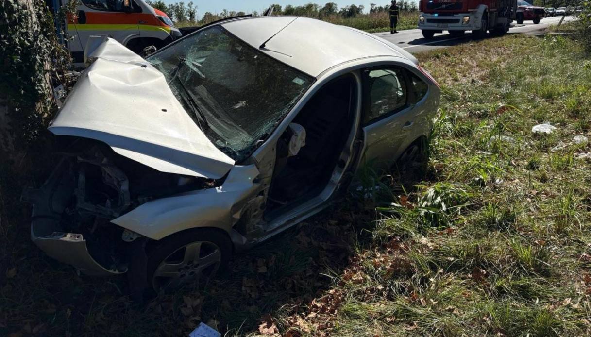 auto contro un platano a basiliano udine morta una bambina di 11 anni e gravissima la sorellina di 4 anni da Virgilio.it auto contro un platano a basiliano udine morta una bambina di 11 anni e gravissima la sorellina di 4 anni