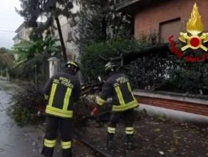 Bolzano, ramo si stacca da un albero e ferisce tre persone in modo serio: chi sono e come stanno