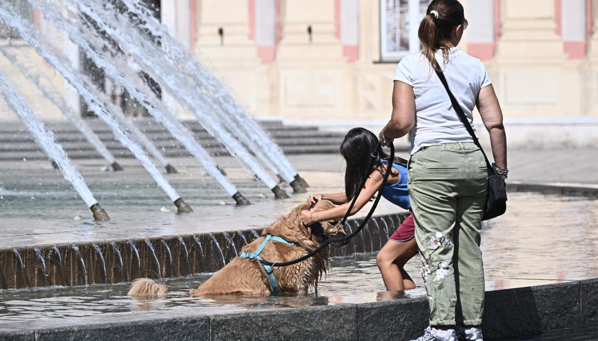 https://wips.plug.it/cips/notizie.virgilio.it/cms/2026/08/caldo-bollino-rosso-agosto.jpg