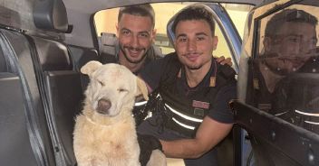 cane-salvato