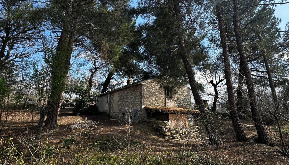 https://wips.plug.it/cips/notizie.virgilio.it/cms/2026/08/famiglia-nel-bosco-turisti.jpg