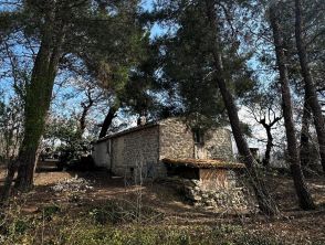 Famiglia nel bosco assediata dai turisti, spunta il cartello di Nathan e Catherine: 