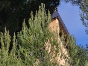 Paura per i funerali di Beatrice di Bordighera morta a 2 anni, ci sarà anche la madre: le scelte del Prefetto