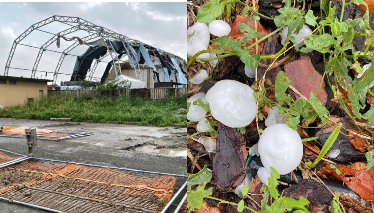 maltempo nel nord italia temporali e grandinate tromba d aria devasta cremona e mantova feriti ed evacuati da Virgilio.it maltempo nel nord italia temporali e grandinate tromba d aria devasta cremona e mantova feriti ed evacuati