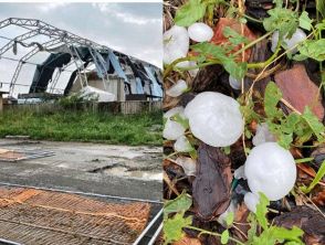 Maltempo nel Nord Italia, temporali e grandinate: tromba d'aria devasta Cremona e Mantova, feriti ed evacuati