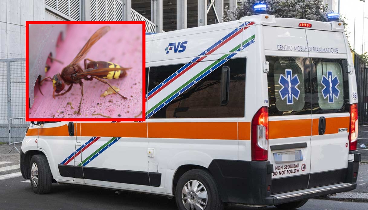 https://wips.plug.it/cips/notizie.virgilio.it/cms/2026/08/manuel-mongini-morto-shock-anafilattico-puntura-calabrone-soriso.jpg