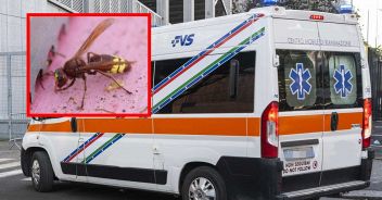 manuel-mongini-morto-shock-anafilattico-puntura-calabrone-soriso