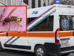 Manuel Mongini morto per shock anafilattico dopo la puntura di un calabrone a Soriso, decesso in 5 minuti