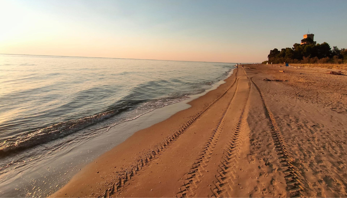 https://wips.plug.it/cips/notizie.virgilio.it/cms/2026/08/mar-mediterraneo-caldo-goccia-fredda-2.png