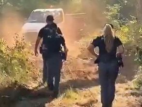 La pineta delle Acque Rosse a Ostia liberata dagli accampamenti abusivi, il video del blitz
