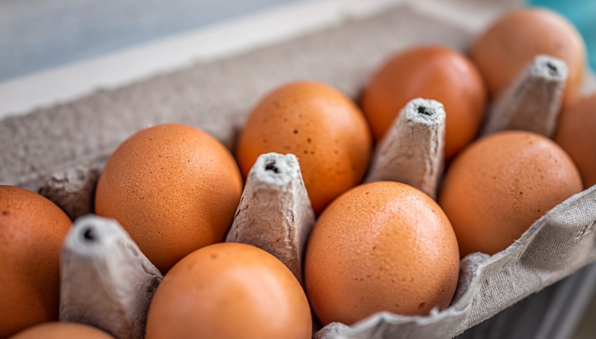 https://wips.plug.it/cips/notizie.virgilio.it/cms/2026/08/salmonella-epidemia-regno-unito.jpg