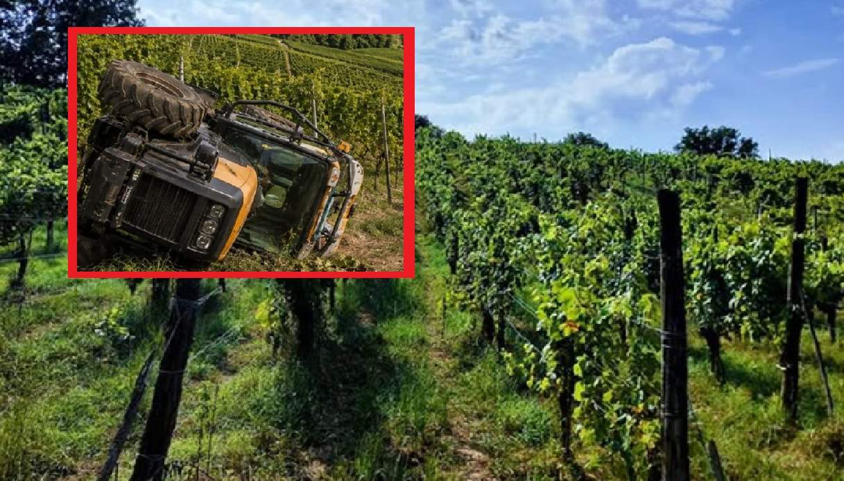 il 33enne francesco mazzocchi morto schiacciato dal trattore dramma nelle vigne sotto gli occhi del fratello da Virgilio.it il 33enne francesco mazzocchi morto schiacciato dal trattore dramma nelle vigne sotto gli occhi del fratello
