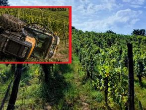 Il 33enne Francesco Mazzocchi morto schiacciato dal trattore, dramma nelle vigne sotto gli occhi del fratello