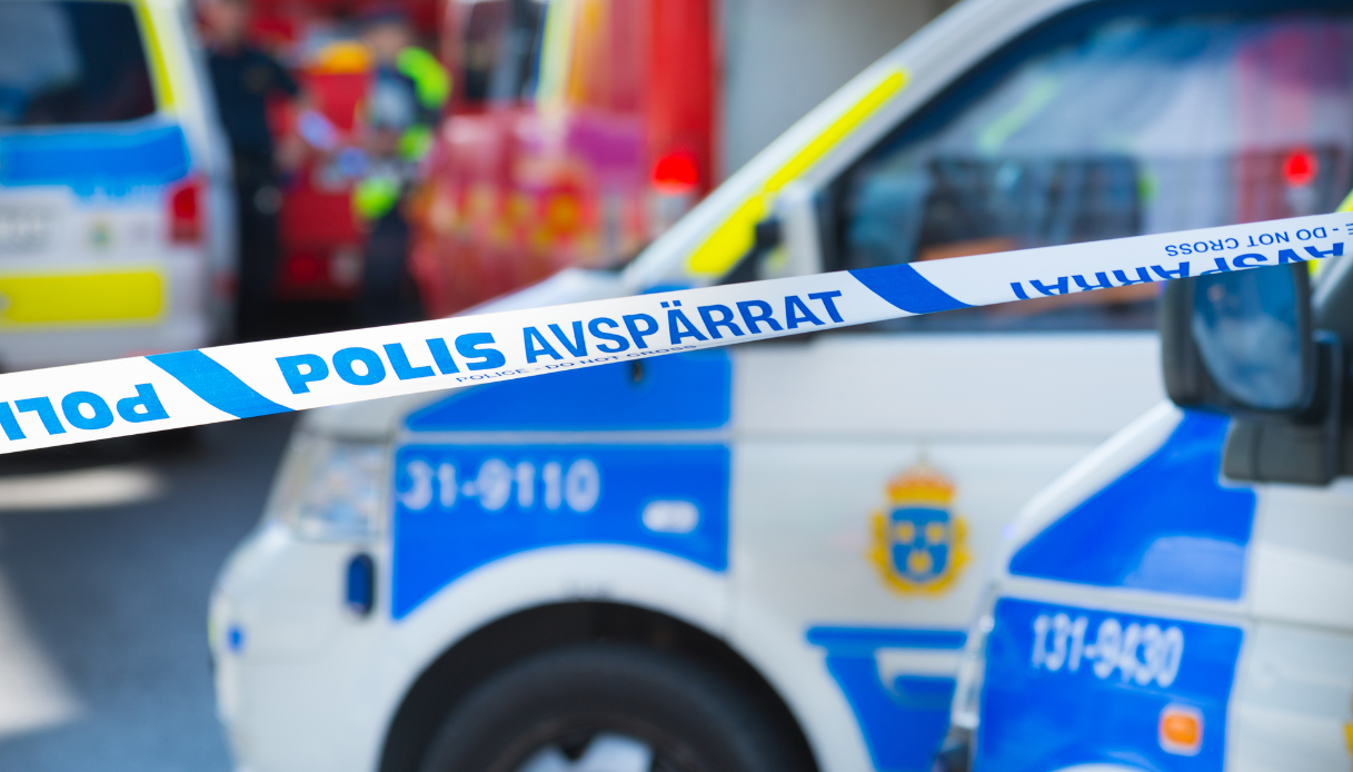 https://wips.plug.it/cips/notizie.virgilio.it/cms/2026/08/scuola-svezia.png