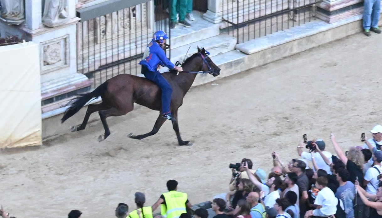 chi 232 tittia giovanni atzeni vincitore del palio di siena e come sta dopo la caduta da cavallo 200 cosciente da Virgilio.it chi 232 tittia giovanni atzeni vincitore del palio di siena e come sta dopo la caduta da cavallo 200 cosciente