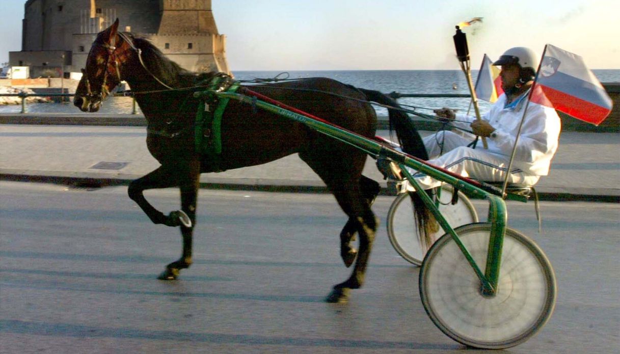 È morto Varenne, addio al cavallo trottatore più forte di tutti e leggenda dell'