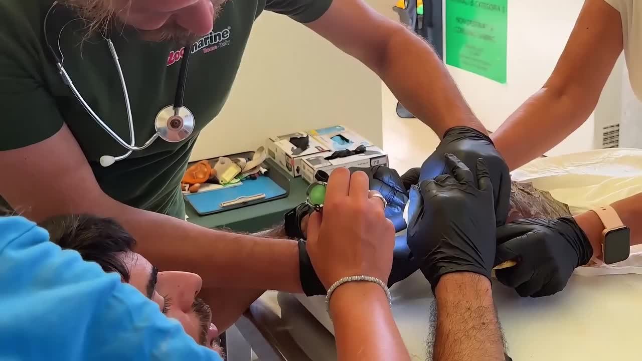 https://wips.plug.it/cips/notizie.virgilio.it/cms/2026/08/video_bc6402753055112.jpg