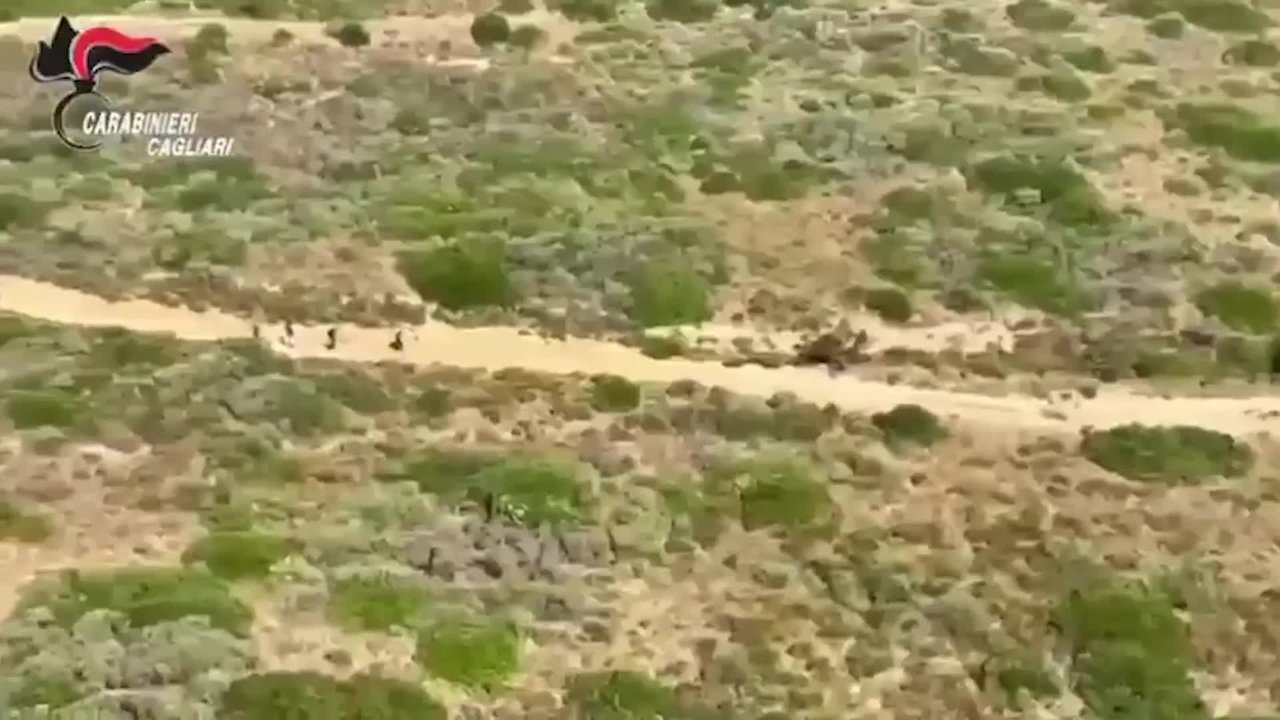 https://wips.plug.it/cips/notizie.virgilio.it/cms/2026/08/video_bc6403573225112.jpg