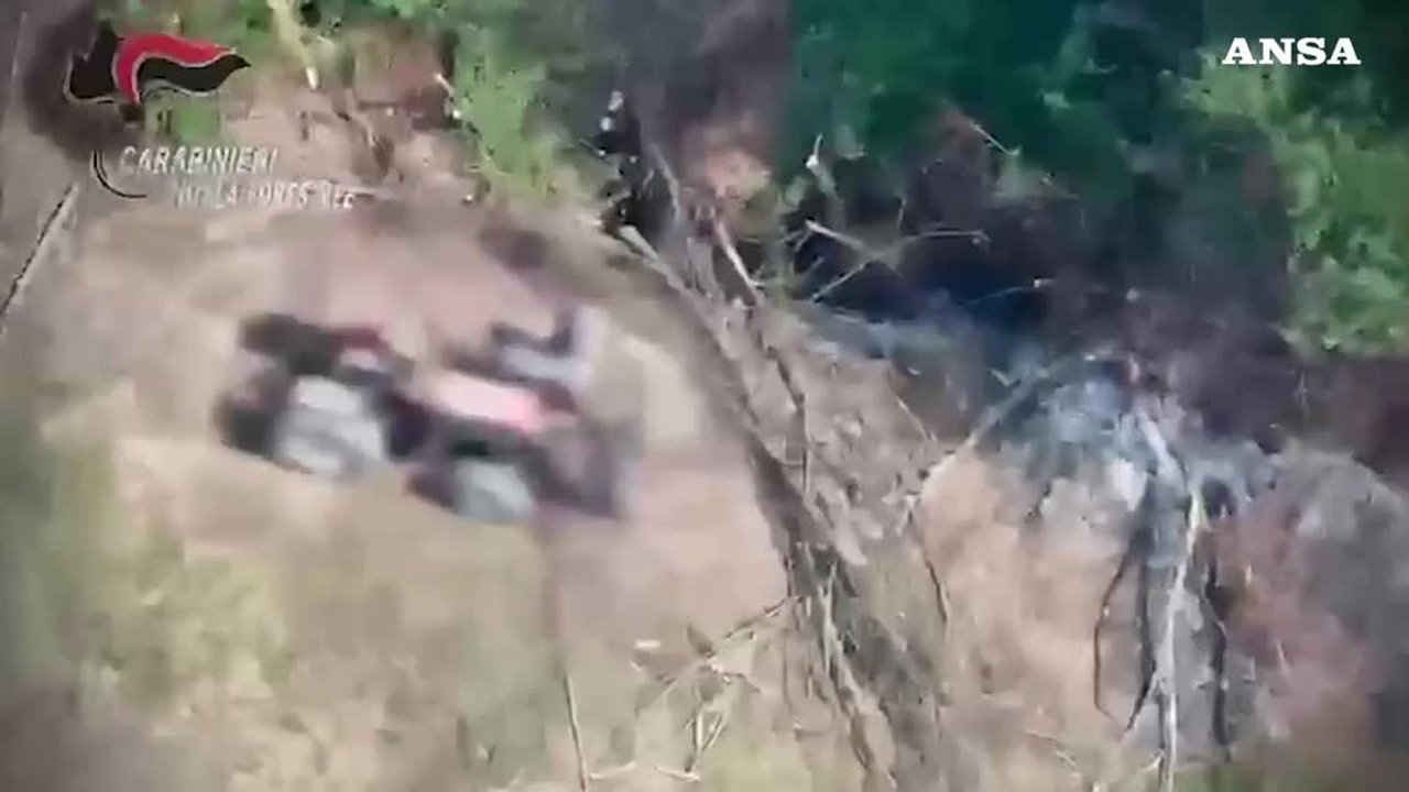 cos236 a mileto ha incendiato il bosco sotto gli occhi del drone arrestato da Virgilio.it cos236 a mileto ha incendiato il bosco sotto gli occhi del drone arrestato