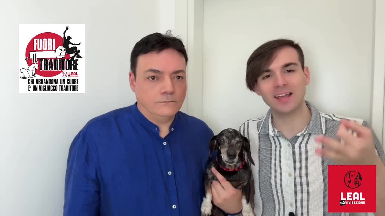 Artisti e Lega Antivivisezionista contro l'abbandono degli animali, lo spot per sensibilizzare