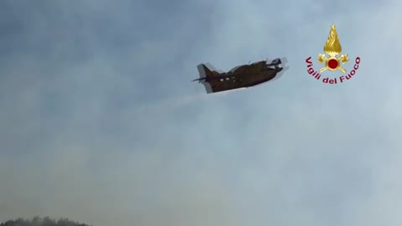 Parco nazionale dell'Alta Murgia, incendio devastante: 500 ettari in fumo e Cana