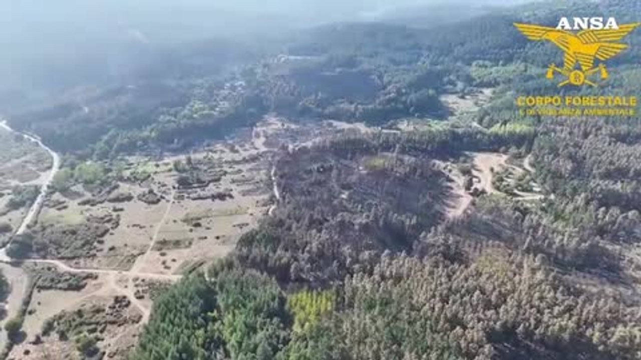https://wips.plug.it/cips/notizie.virgilio.it/cms/2026/08/video_bc6404353490112.jpg