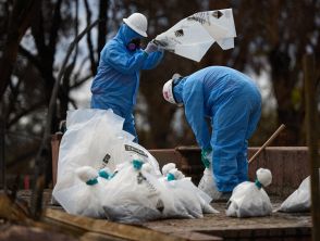 Sottufficiale della Marina morto per mesotelioma, famiglia risarcita con 860 mila euro, ma lo Stato fa ricorso