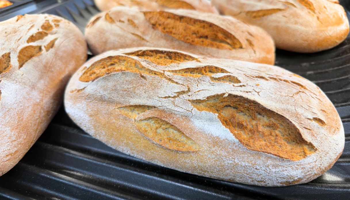 compra mezza pagnotta e la commessa gli fa pagare 10 grammi in pi249 il reclamo costa 15 mila euro al titolare da Virgilio.it compra mezza pagnotta e la commessa gli fa pagare 10 grammi in pi249 il reclamo costa 15 mila euro al titolare