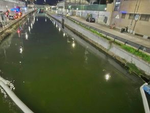 Chiazza oleosa in Darsena a Milano per sversamento di gasolio nel Naviglio Grande, cos'è successo