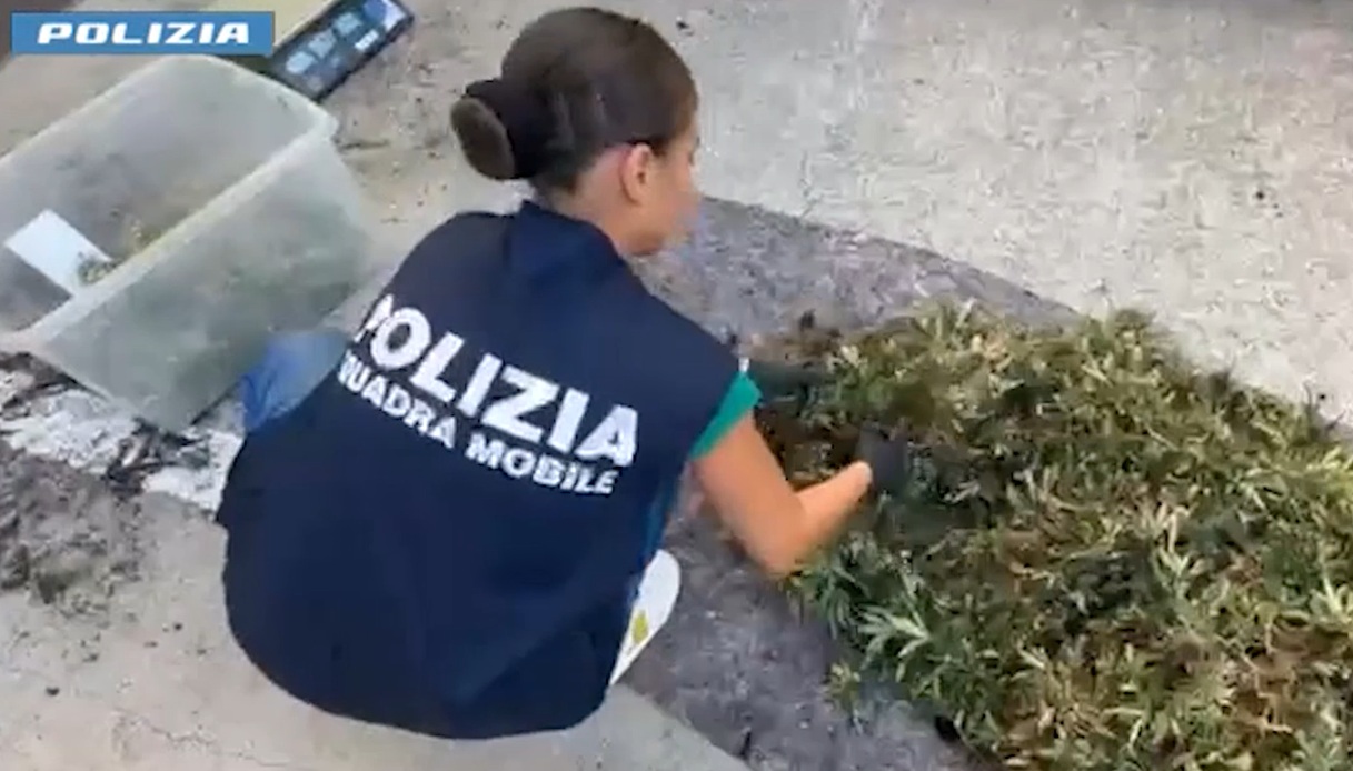 https://wips.plug.it/cips/notizie.virgilio.it/cms/2026/09/droga-cagliari.jpg
