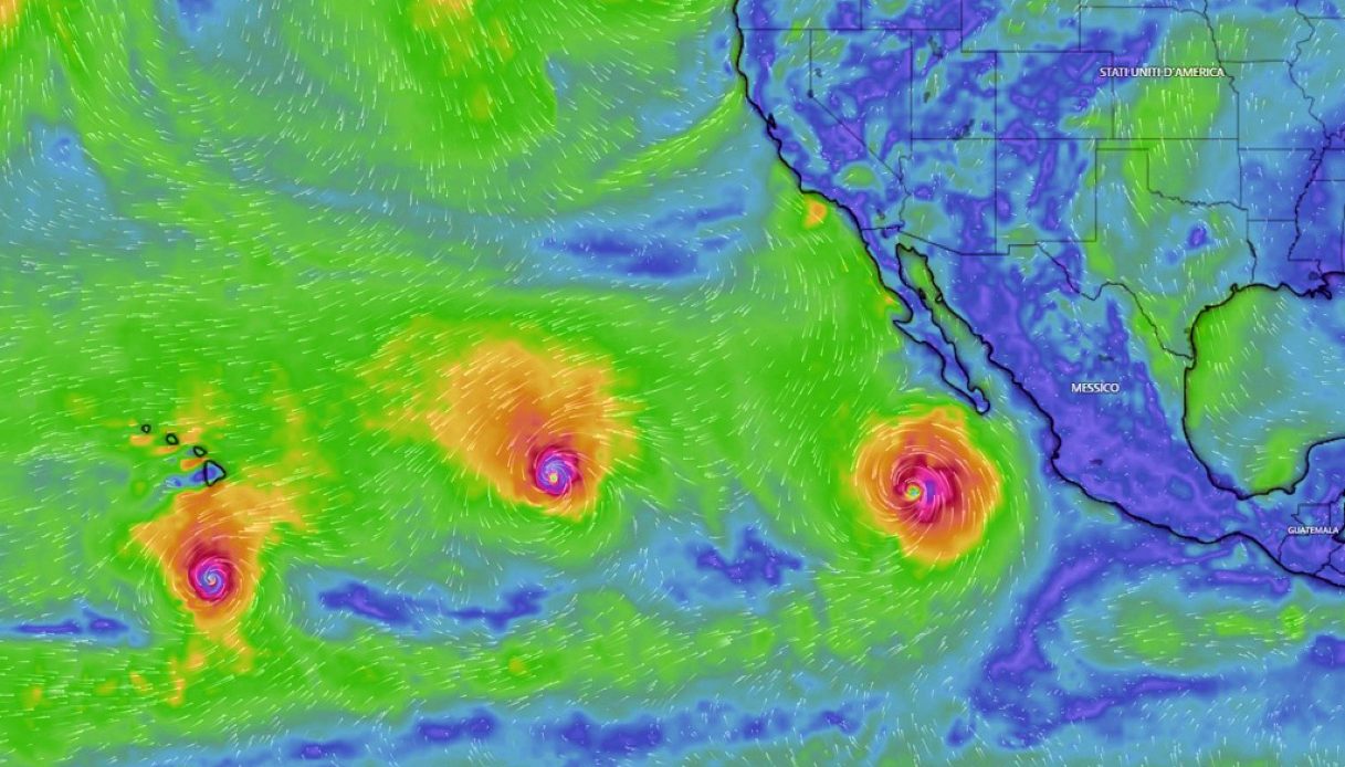 https://wips.plug.it/cips/notizie.virgilio.it/cms/2026/09/el-nino-onu-record.jpg
