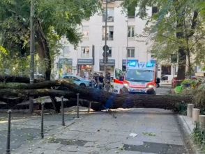 Milano, grosso albero cade in Piazza Risorgimento: tre feriti, i residenti lo avevano già segnalato