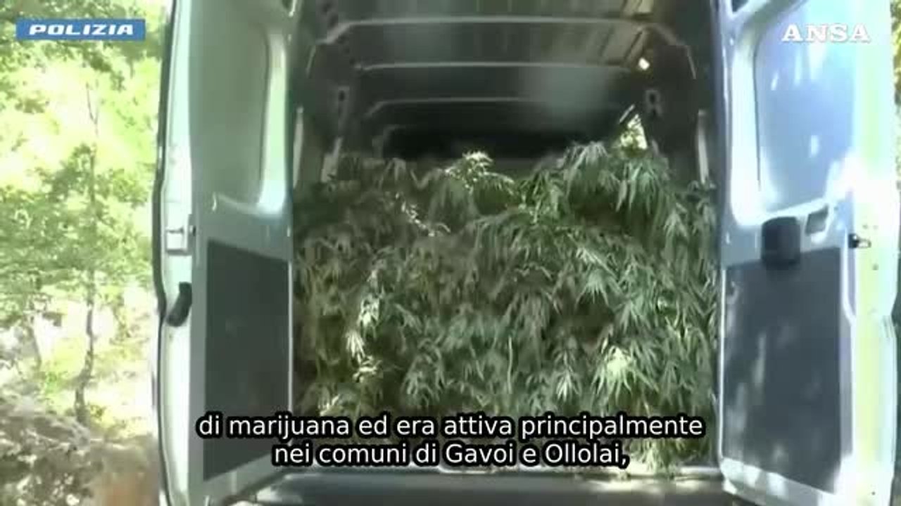 droga e uccisione di animali con crudelt224 blitz nel nuorese 7 arresti e 2 obblighi di dimora da Virgilio.it droga e uccisione di animali con crudelt224 blitz nel nuorese 7 arresti e 2 obblighi di dimora