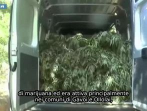 Droga e uccisione di animali con crudeltà, blitz nel Nuorese: 7 arresti e 2 obblighi di dimora