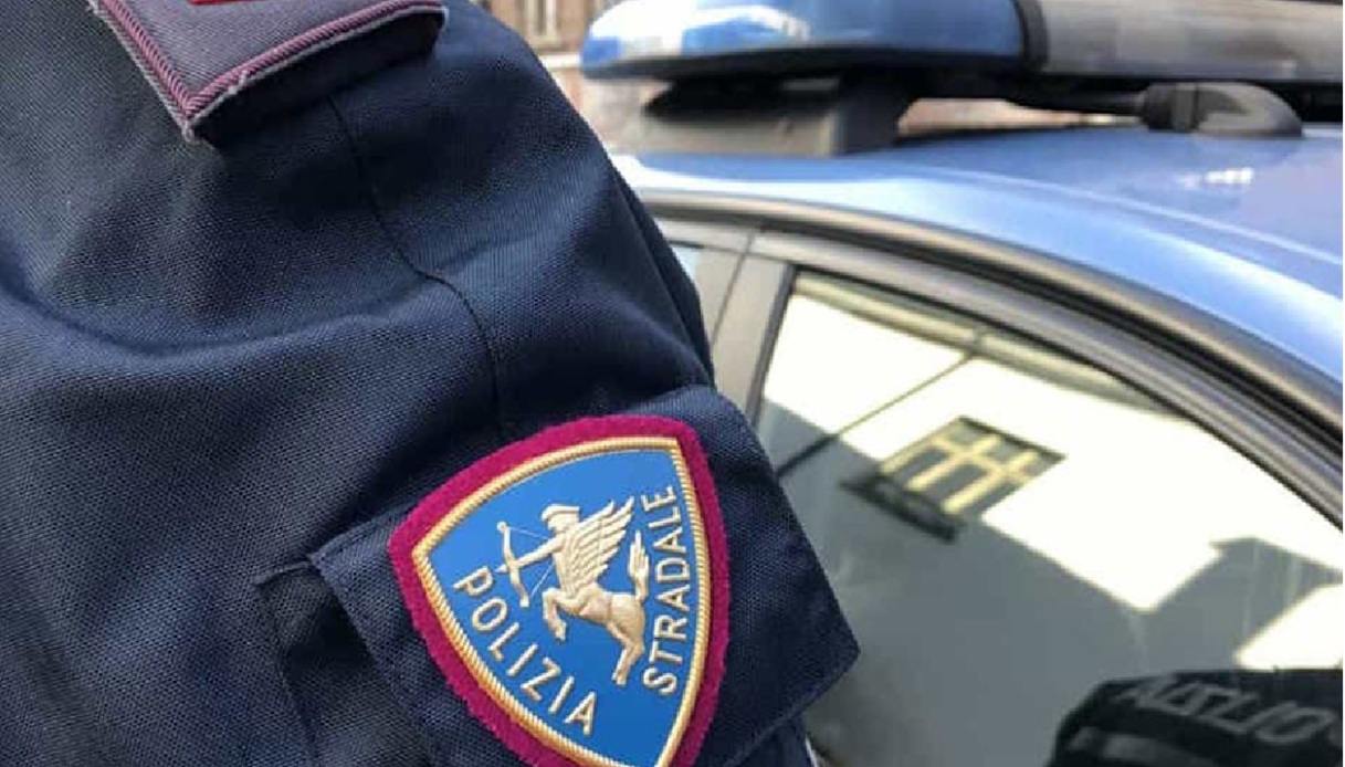 il viaggio dei bovini finisce sull8217a4 animali trovati in condizioni disperate sul camion autista denunciato da Virgilio.it il viaggio dei bovini finisce sull8217a4 animali trovati in condizioni disperate sul camion autista denunciato