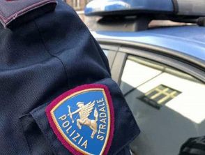 Il viaggio dei bovini finisce sull’A4, animali trovati in condizioni disperate sul camion: autista denunciato