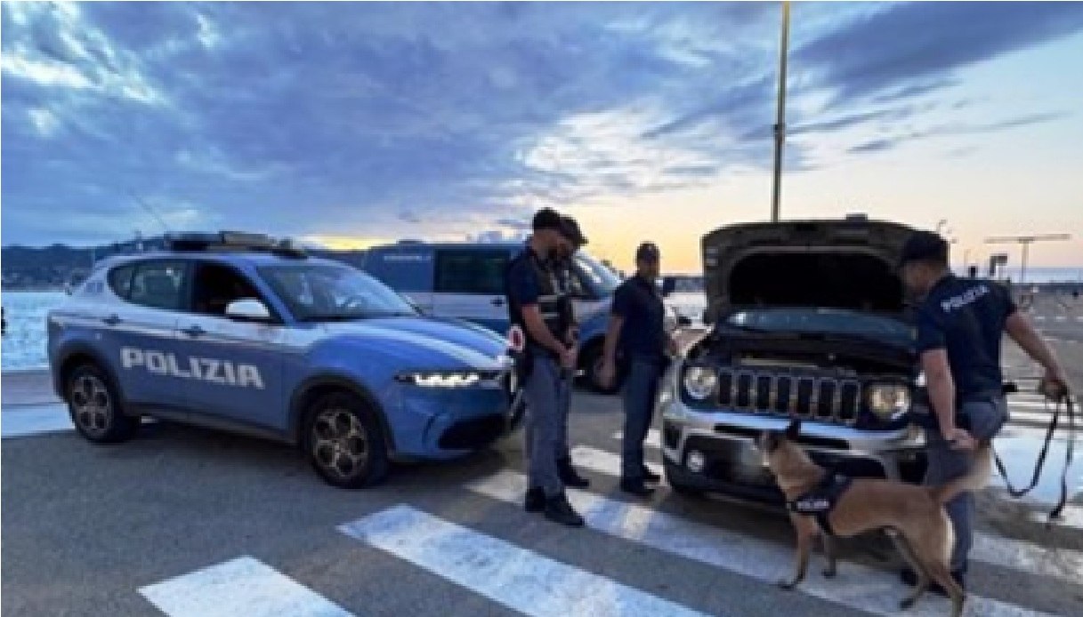 infallibile fiuto del cane pablo a villa san giovanni 52enne arrestato quanta cocaina aveva in auto da Virgilio.it infallibile fiuto del cane pablo a villa san giovanni 52enne arrestato quanta cocaina aveva in auto