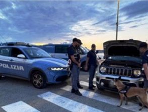 Infallibile fiuto del cane Pablo a Villa San Giovanni, 52enne arrestato: quanta cocaina aveva in auto