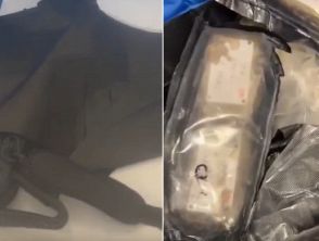 Scoperti 141 kg di droga a Torino, trovate anche armi e 85mila euro in contanti: 26enne arrestato