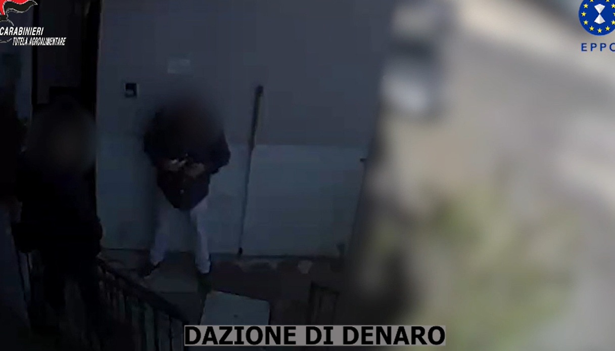 il meccanismo della maxi truffa sui fondi agricoli ue in sicilia sei arresti e 900mila euro sequestrati da Virgilio.it il meccanismo della maxi truffa sui fondi agricoli ue in sicilia sei arresti e 900mila euro sequestrati