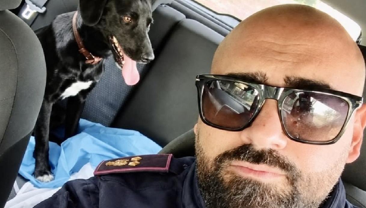 https://wips.plug.it/cips/notizie.virgilio.it/cms/2026/10/ferrara-cucciolo-salvato.jpg