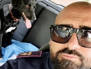 Cucciolo solo in mezzo alla strada a Ferrara, salvato grazie alle coccole di un poliziotto