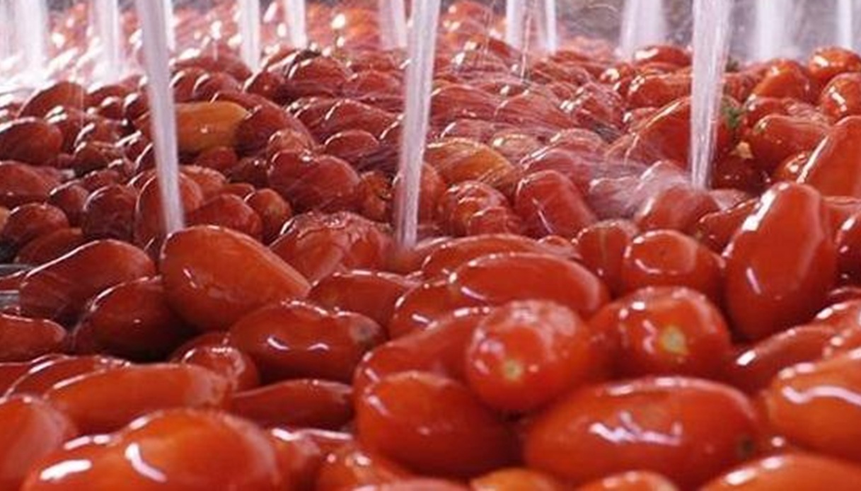 https://wips.plug.it/cips/notizie.virgilio.it/cms/2026/10/pomodori-salmonella.jpg