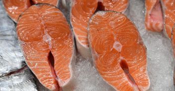 salmone-mangimi-pollo