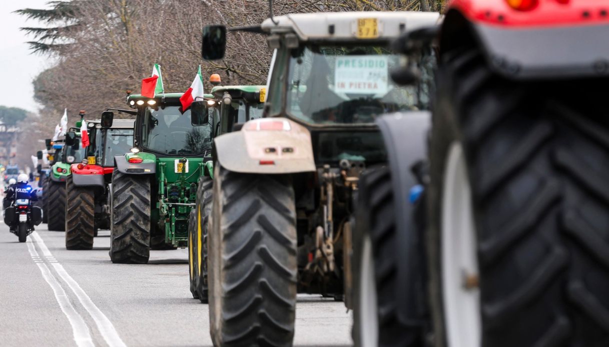 caro carburante e caro vita non si fermano proteste e scioperi di agricoltori e autotrasportatori al sud da Virgilio.it caro carburante e caro vita non si fermano proteste e scioperi di agricoltori e autotrasportatori al sud
